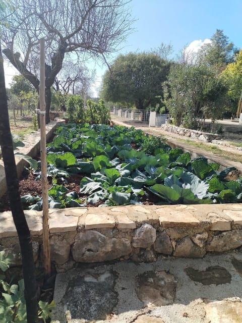 House (Two Bedroom Holiday Home with Terrace) | Exterior