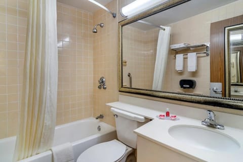 Free toiletries, hair dryer, towels