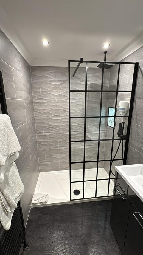 Combined shower/tub, hair dryer, towels