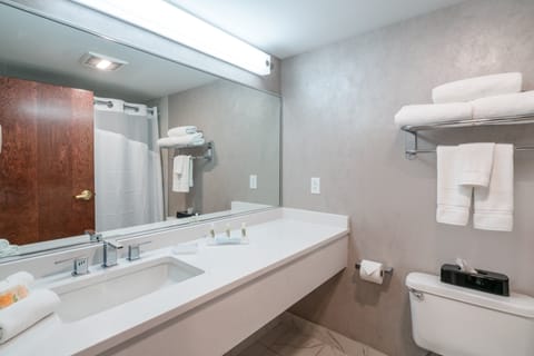 Standard Room | Hypo-allergenic bedding, desk, blackout drapes, iron/ironing board