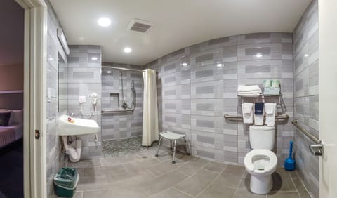 Deluxe Room, 1 Queen Bed | Bathroom | Combined shower/tub, free toiletries, hair dryer, towels