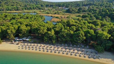 Beach nearby, white sand