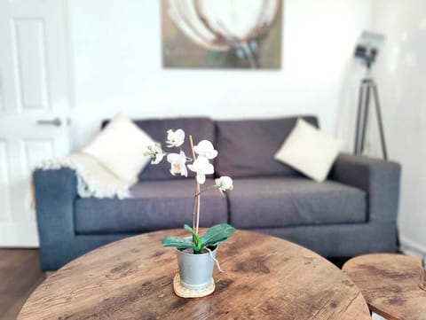 City Apartment | Living area | TV