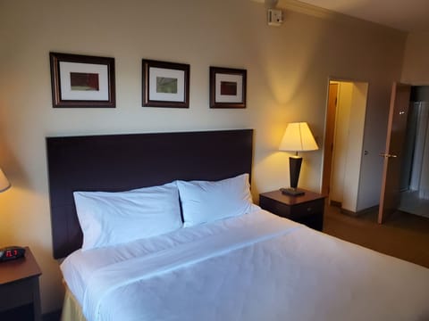 Standard King Room | Desk, iron/ironing board, free WiFi, bed sheets