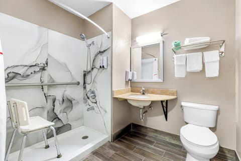 Deluxe Room, 1 Queen Bed, Accessible, Non Smoking (Roll-In Shower) | Bathroom | Free toiletries, towels