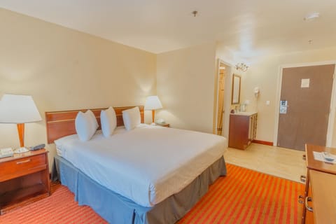 Standard Single Room, 1 King Bed | Individually decorated, individually furnished, desk, laptop workspace