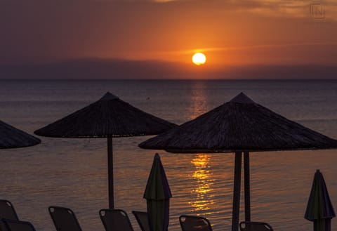Beach bar