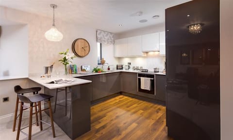 Fridge, dishwasher, cookware/dishes/utensils