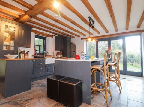 Fridge, dishwasher, electric kettle, toaster