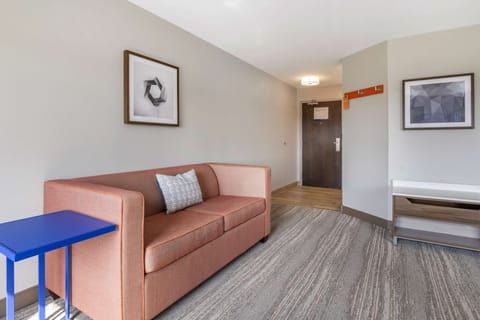 Studio, 1 King Bed, Refrigerator & Microwave (Wet bar) | Living area | 60-inch flat-screen TV with cable channels, TV, Netflix