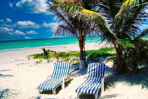 Apartment, 1 Bedroom, Accessible, Balcony | Beach