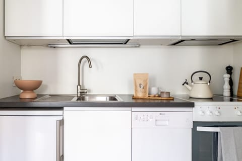 City Apartment | Private kitchen | Fridge, oven, stovetop, dishwasher