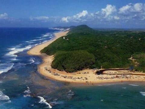 Beach nearby, free beach shuttle, scuba diving