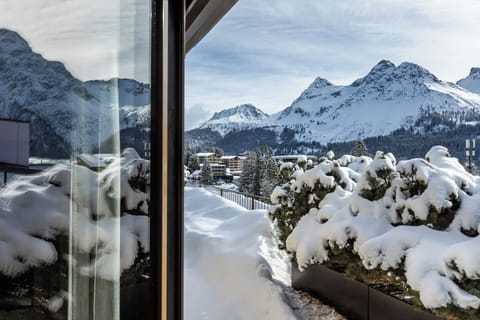 Premium bedding, down comforters, in-room safe, blackout drapes