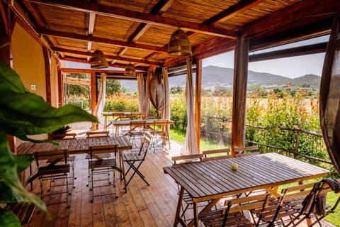 Italian cuisine, garden views 