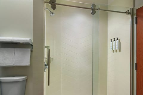 Combined shower/tub, free toiletries, hair dryer, towels