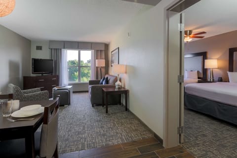 Deluxe Suite, 1 Bedroom, Non Smoking | Living area | Flat-screen TV, pay movies