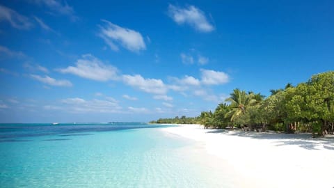 Beach nearby, white sand