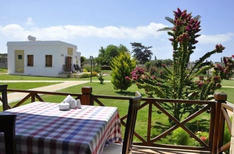 Double or Twin Room | Terrace/patio