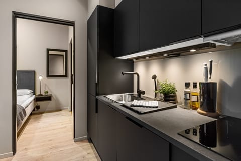 Standard Apartment, 1 Bedroom | Private kitchen | Full-size fridge, microwave, oven, stovetop