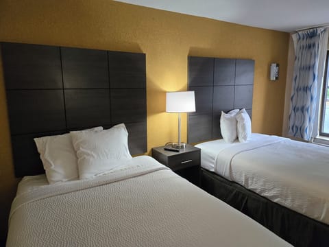 Premium bedding, memory foam beds, iron/ironing board, free WiFi