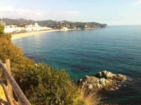 Beach/ocean view