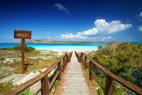 Beach