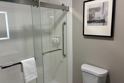 Combined shower/tub, hair dryer, towels