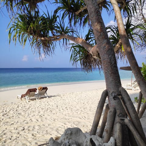 On the beach, white sand, sun loungers, beach umbrellas