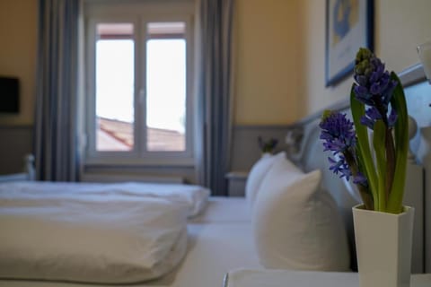 Desk, laptop workspace, free WiFi, bed sheets