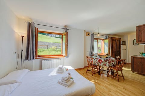 Standard Studio, Mountain View (Studio Clotes Ski In - Ski Out) | WiFi, bed sheets