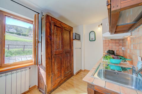 Standard Studio, Mountain View (Studio Clotes Ski In - Ski Out) | Private kitchen | Fridge, microwave, oven, stovetop