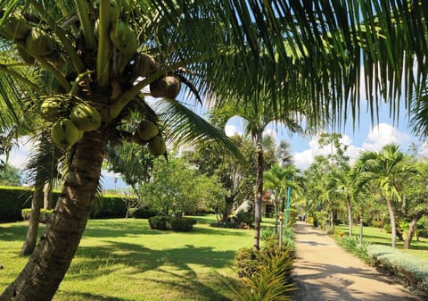 Bungalow, 2 Bedrooms, Accessible, Smoking | Garden