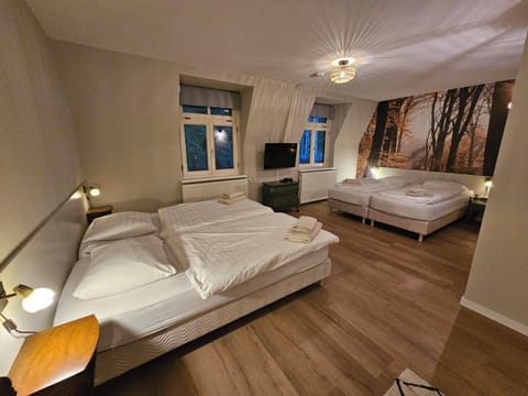 Minibar, desk, blackout drapes, free WiFi