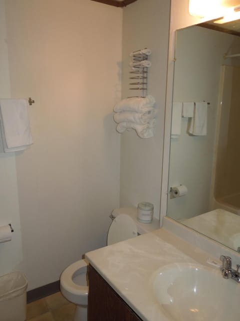 Combined shower/tub, free toiletries, hair dryer, towels