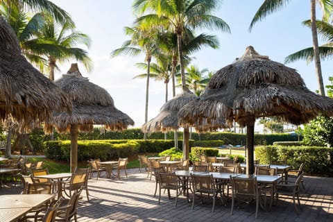 4 outdoor pools, sun loungers