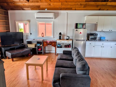 Panoramic Cabin, Bay View | Living area | 50-inch Smart TV with digital channels, streaming services