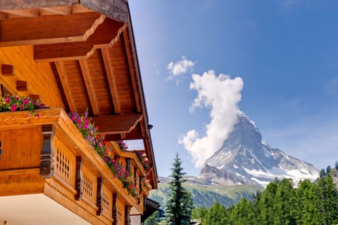 Apartment, 3 Bedrooms, Balcony, Mountain View | View from room