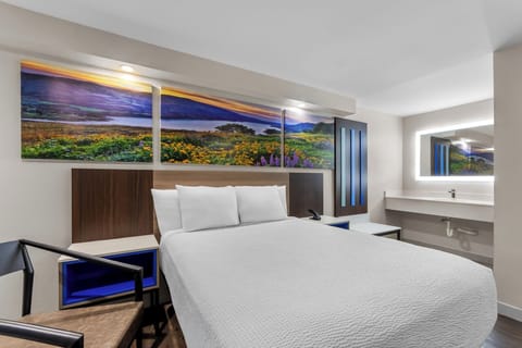 Room, 1 Queen Bed, Non Smoking | Desk, blackout drapes, free cribs/infant beds, free WiFi