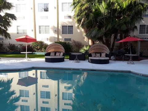 Outdoor pool, sun loungers