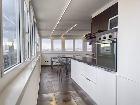 Panoramic Apartment | Private kitchen | Full-size fridge, microwave, oven, stovetop