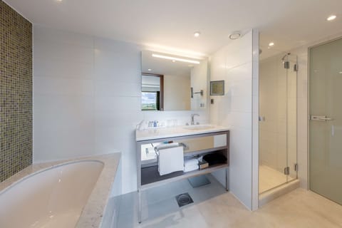 Combined shower/tub, free toiletries, hair dryer, towels