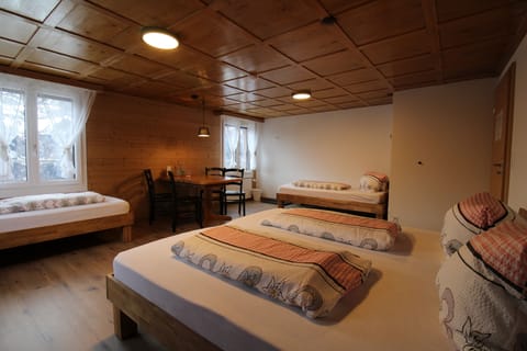 Basic Quadruple Room, Shared Bathroom, Mountain View | Soundproofing, free WiFi