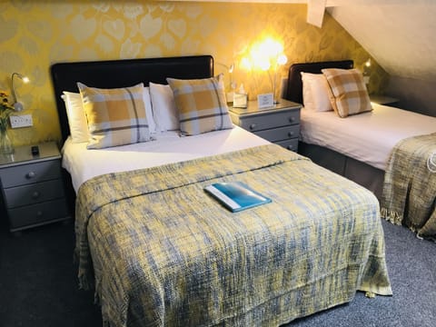 Basic Double or Twin Room | Blackout drapes, iron/ironing board, free WiFi