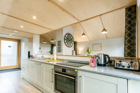 Cottage | Private kitchen | Fridge, dishwasher, electric kettle, toaster
