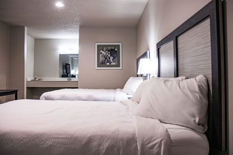 Deluxe Double Room | Laptop workspace, free WiFi, bed sheets