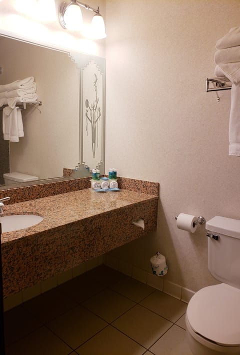 Suite, Multiple Beds | Bathroom | Combined shower/tub, eco-friendly toiletries, hair dryer, towels