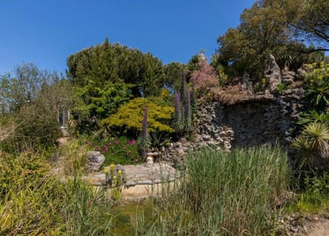 House | View from property