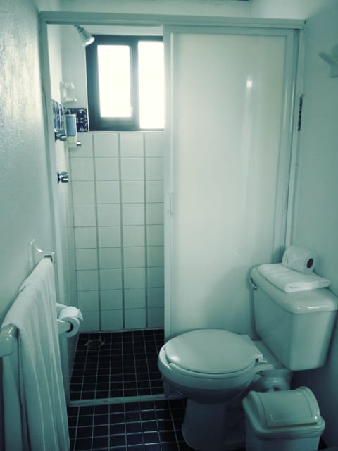 Standard Double Room | Bathroom | Shower, hair dryer, towels