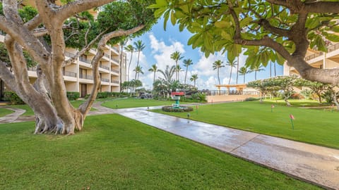 Condo, 1 Bedroom | Property grounds